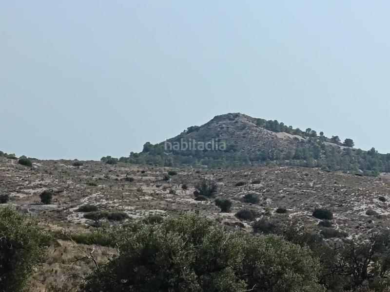 Foto d3e3ee09-cb54-48bc-93d5-a1c01b07d3f4. Terreno residenziale in Moralet Alicante