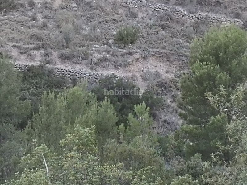 Foto 0a1e7972-7457-4f80-a33c-600b5ad82896. Finca rústica a Busot