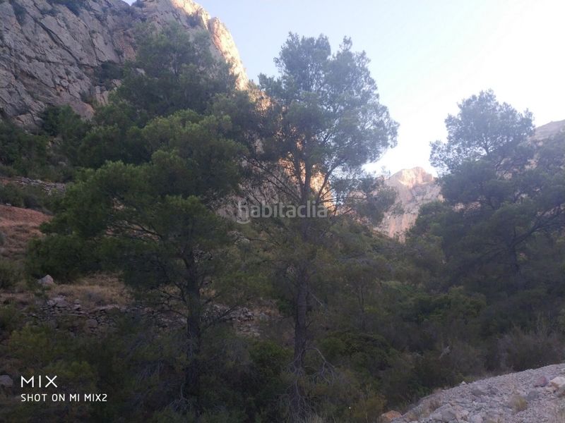 Foto 162b92ce-0382-4da6-b9be-ed78073a1a73. Finca rústica a Busot