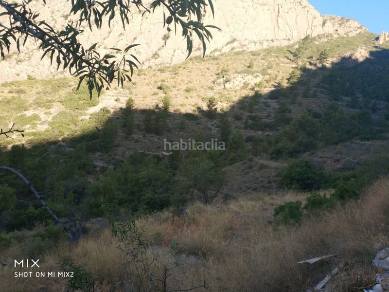 Foto 23a0df4b-e8a3-4df8-aa4e-583408ea5269. Finca rústica a Busot