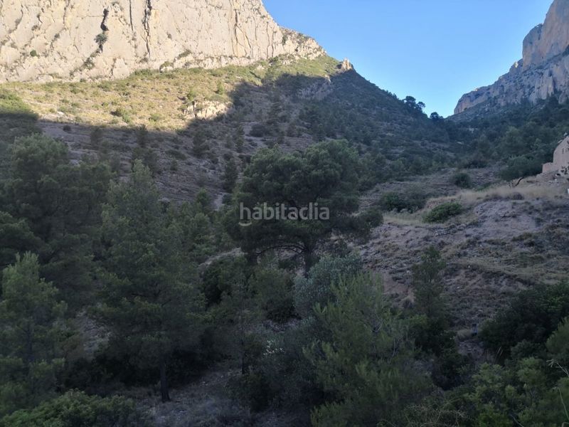 Foto 2a18ecf7-6bba-49d4-8b96-a3b084c04cc9. Finca rústica a Busot