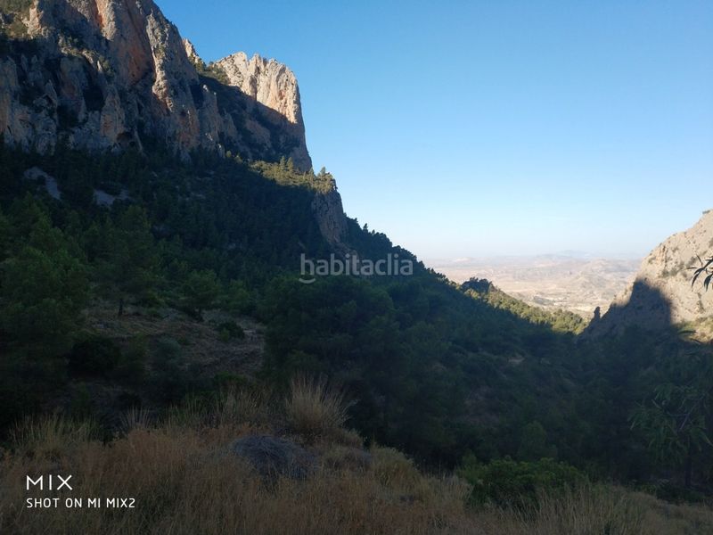 Foto 32b2264e-0b9c-4a8a-ba32-c2cb0366d704. Finca rústica a Busot