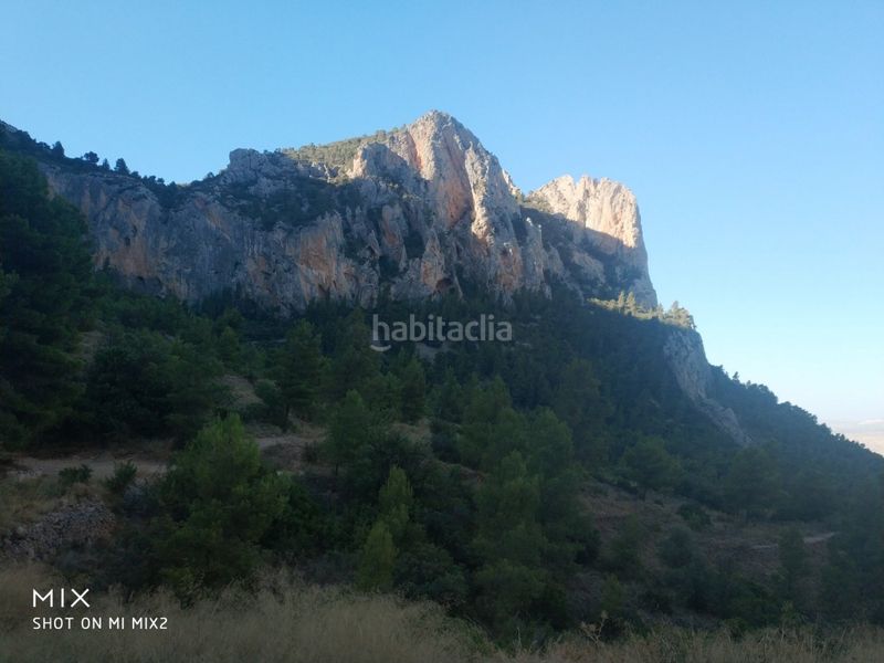 Foto 35028e68-bdfa-43bf-a756-ad35e255207b. Finca rústica a Busot