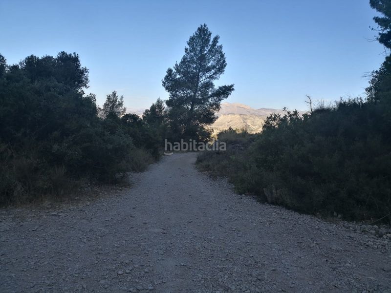 Foto 3f21f052-c817-401b-8ab5-b17487d2af7e. Finca rústica a Busot