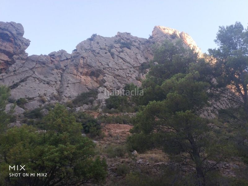 Foto 5bedf8bd-1493-4586-99f3-7717f68812ff. Finca rústica a Busot