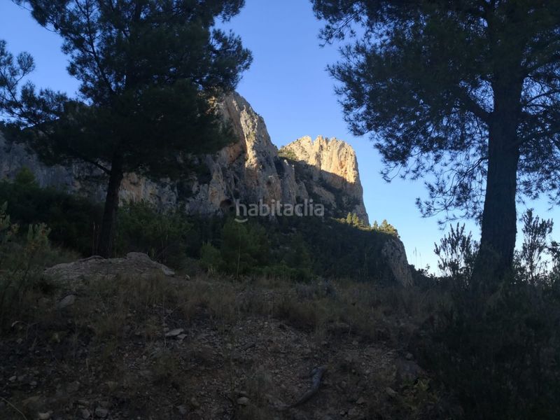 Foto 655384c7-09fd-4632-9fbe-7f9617eb5367. Finca rústica a Busot