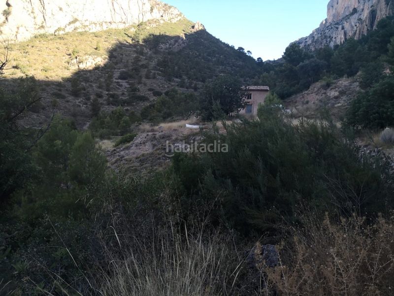 Foto 678b02dc-e355-4d10-a300-1a1f88fab841. Finca rústica a Busot