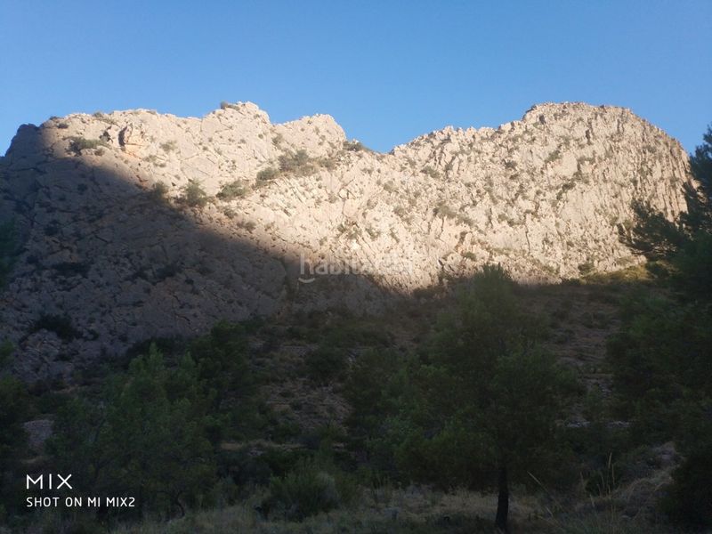 Foto 7673485e-aea9-4e14-8622-f7d940534a52. Finca rústica a Busot