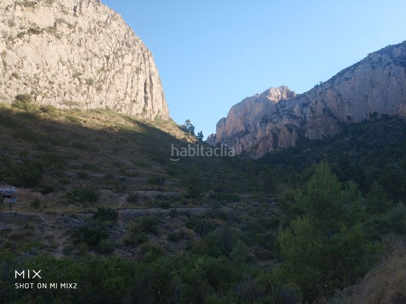 Foto 79d87863-9070-4bf3-b931-b24901a8e84d. Finca rústica a Busot