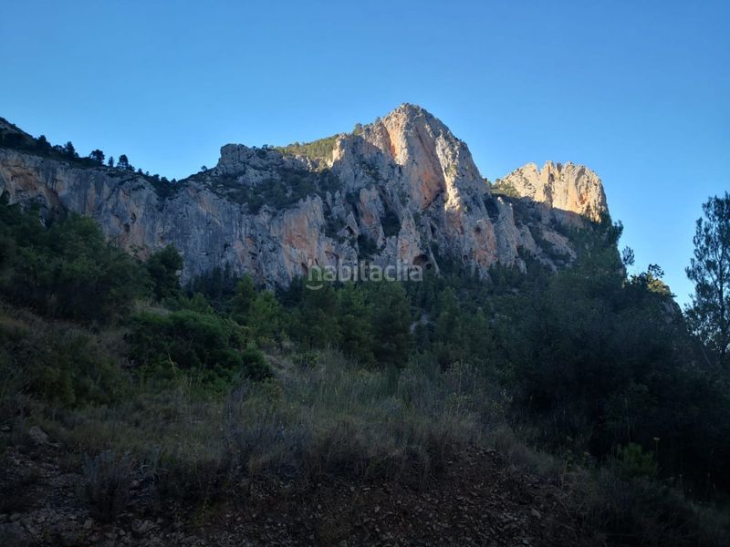 Foto 87fe6477-abec-4eae-baf3-afb5142a41b8. Finca rústica a Busot