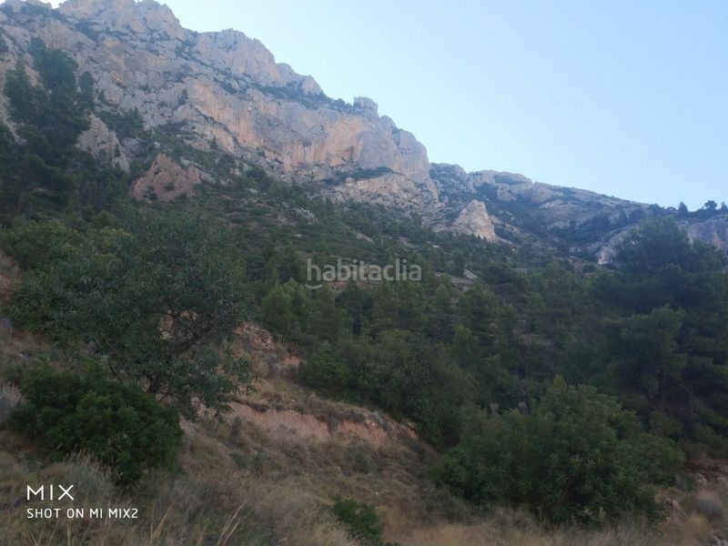Foto a786e7da-f999-4d94-8009-af1aa65158cd. Finca rústica a Busot