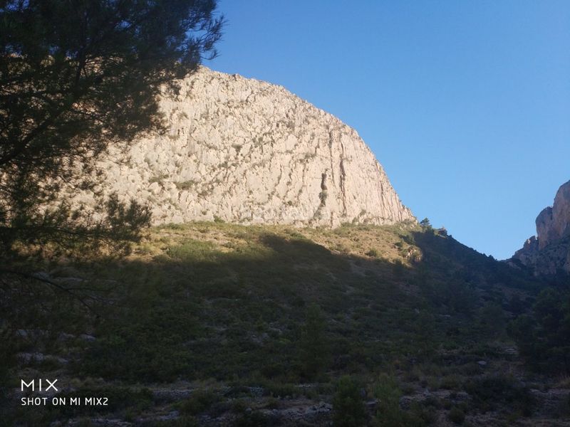 Foto adfd0875-33e8-4ea2-a90e-0b8da87d85b2. Finca rústica a Busot