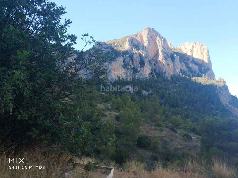 Foto afebc604-1326-4ec1-b323-0e7267a2e43f. Finca rústica a Busot