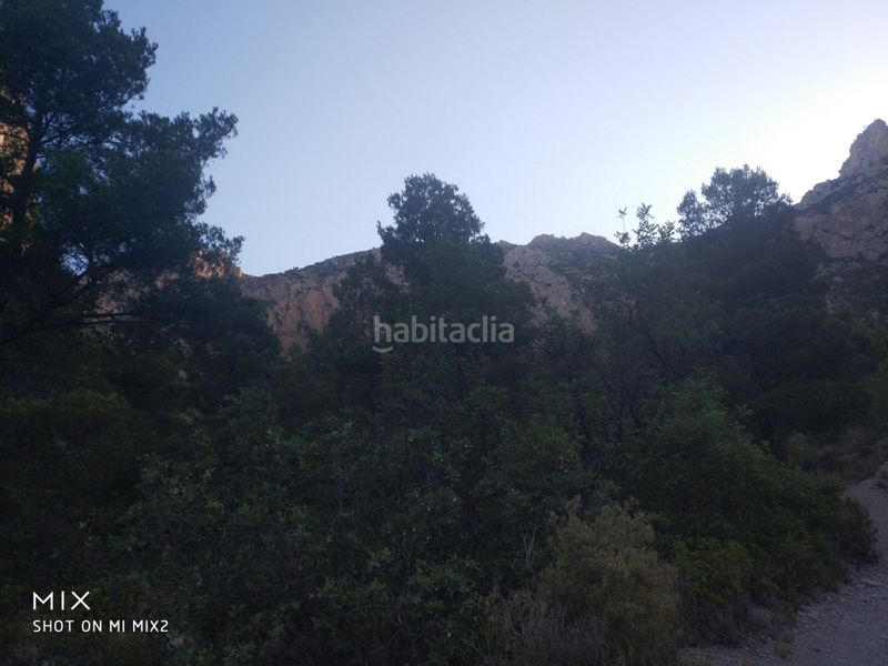 Foto b0b31273-4f04-4416-a78a-40571d7e09c8. Finca rústica a Busot