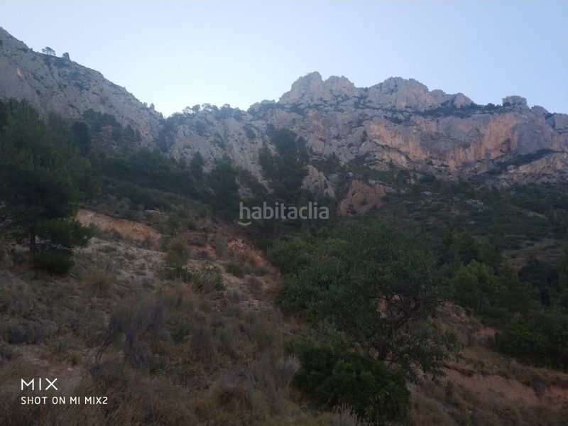Foto b30b735d-ec42-48c4-8d15-a4408b912863. Finca rústica a Busot