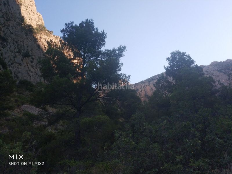 Foto c4b79f79-5a5b-4504-b82d-b5fbceb91fc3. Finca rústica a Busot