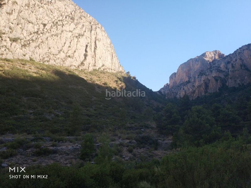 Foto d2bb371c-2a43-411d-a981-804a552a3724. Finca rústica a Busot