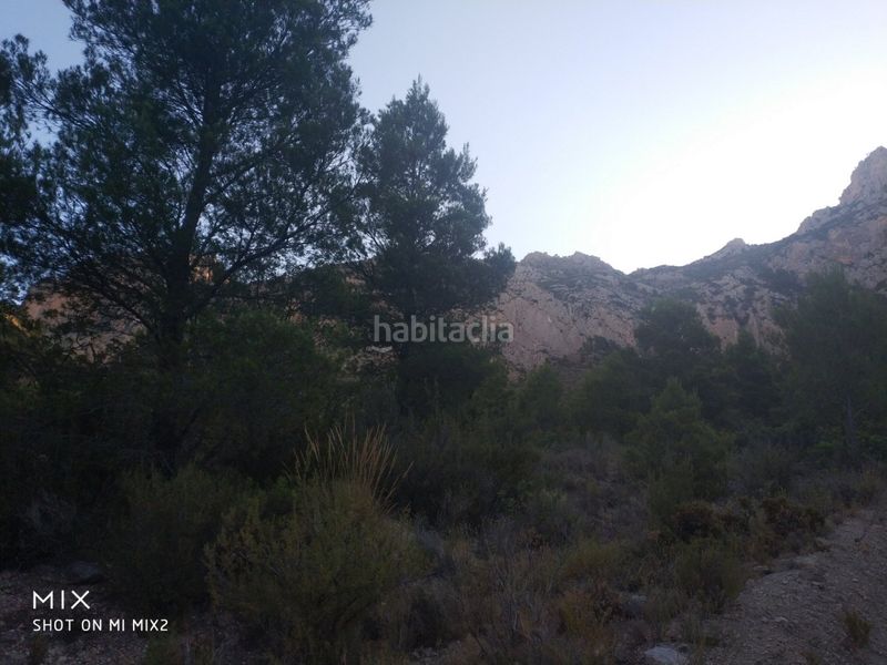 Foto e01ca1d7-b90a-4530-83e8-24fa52679fed. Finca rústica a Busot