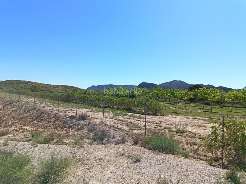 Foto ba27cb0c-4f2f-4b8a-8bee-6c029644a938. Finca rústica a Monforte del Cid