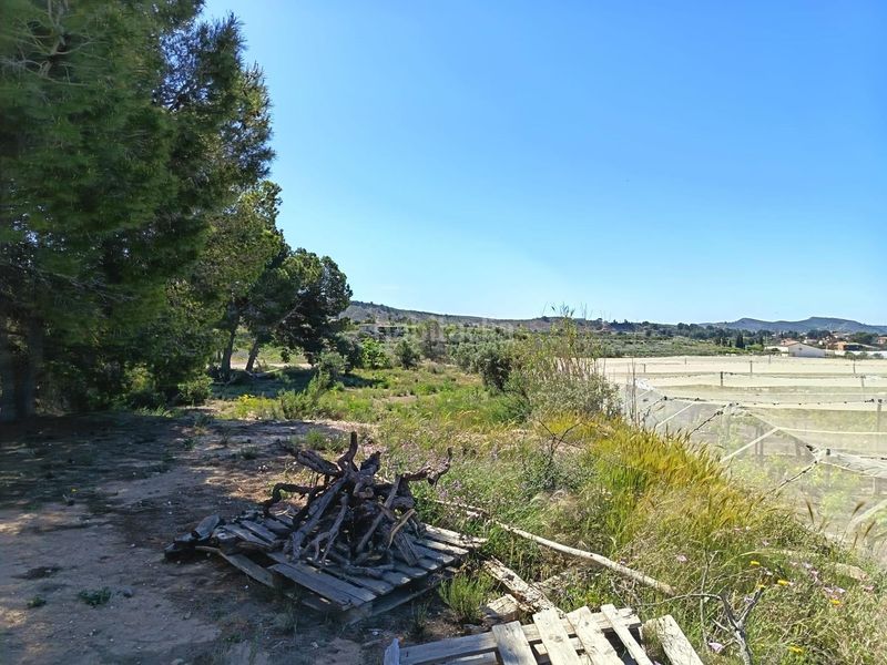 Foto c76fcffb-2249-4195-be0d-adcd5ac13da2. Finca rústica a Monforte del Cid