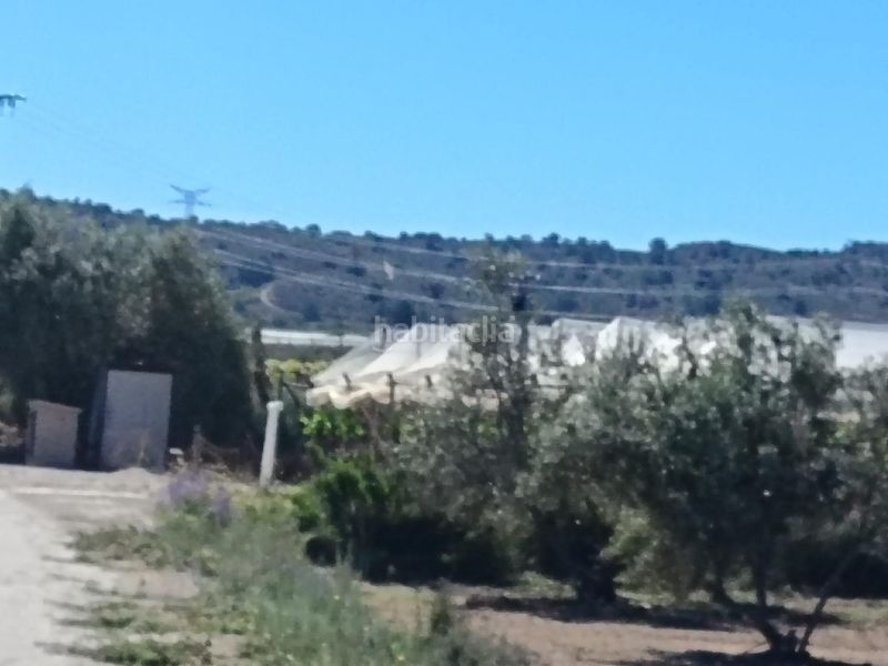 Foto cd8eb2c5-0a65-4509-8988-a2e7569017ed. Finca rústica a Monforte del Cid