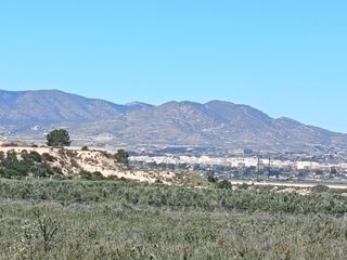 Finca rústica a Monforte del Cid. Se vende parcela  monforte del cid  rustica