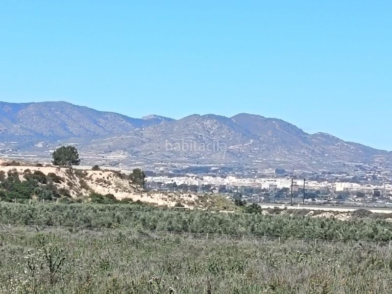 Foto 39ab8b59-f3a2-476b-9a50-44c63052f827. Finca rústica a Monforte del Cid
