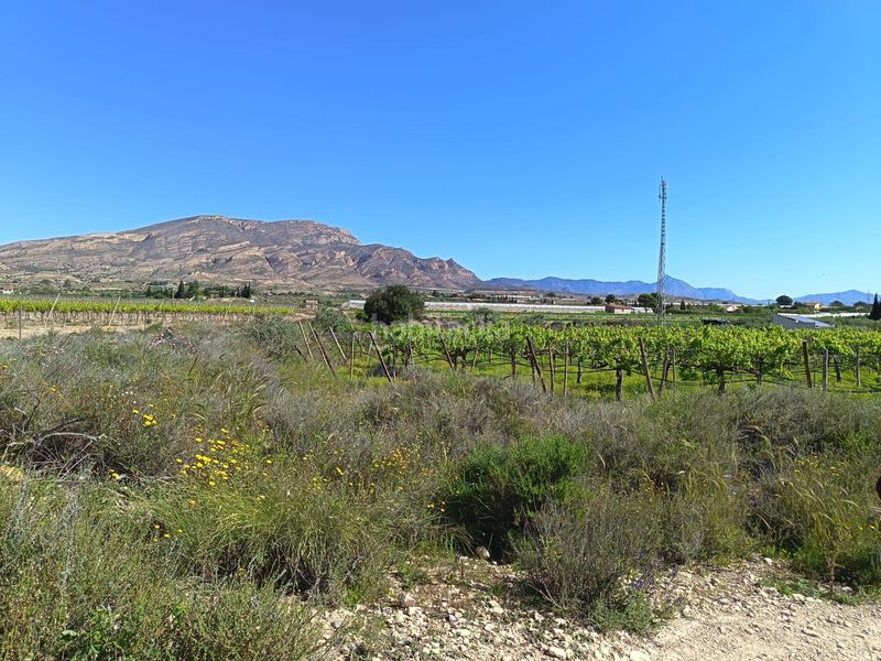 Foto 94e84dbe-4436-400f-a76c-b0fc5a30b8ce. Finca rústica a Monforte del Cid