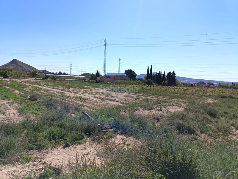 Foto 0ba69ce9-530b-4c18-98ae-cd54978c4fc7. Finca rústica a Monforte del Cid
