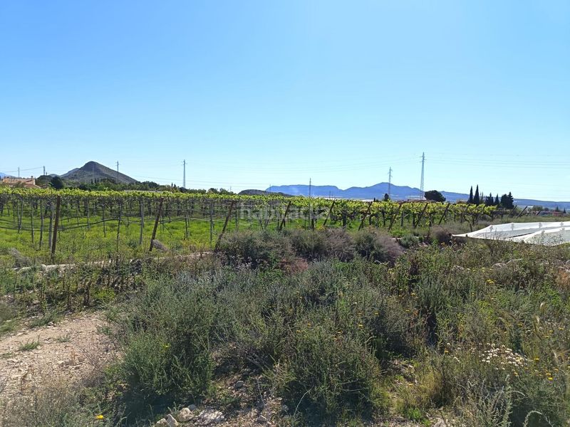 Foto 6af63b52-e837-4f1d-bd3f-99041d792429. Finca rústica a Monforte del Cid