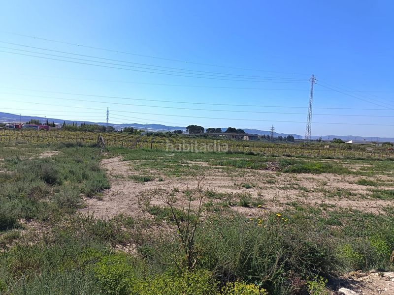 Foto fe96a14a-8894-4b74-b795-bf185a5b1215. Finca rústica a Monforte del Cid