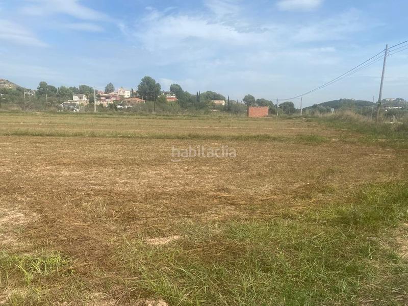 Foto 5fa6d1b4-8a9f-4ddc-872c-40a41900de5f. Mas dans Santa Bárbara Llíria