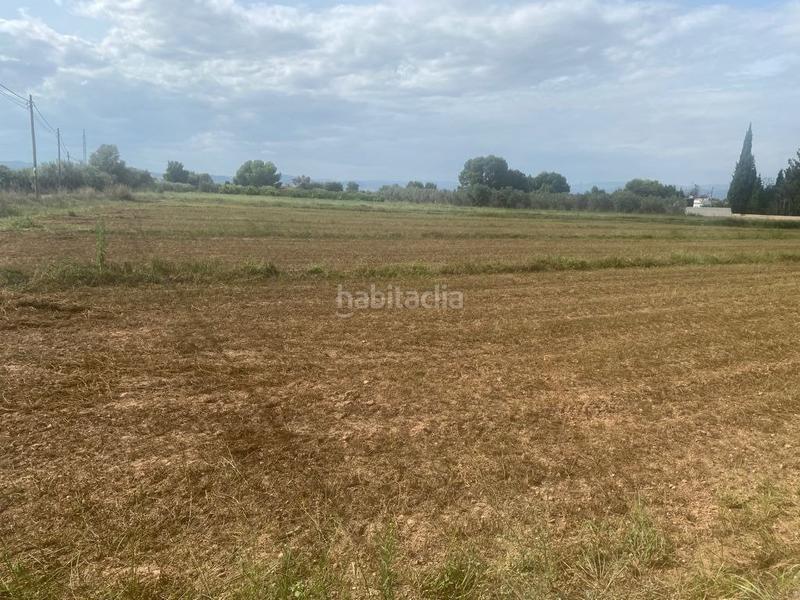 Foto dfcbd2df-968d-4277-a4f4-bc61c1c192df. Mas dans Santa Bárbara Llíria