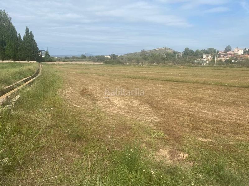 Foto e8e16ee6-ef33-4c6d-86cd-b2277a34d36d. Mas dans Santa Bárbara Llíria