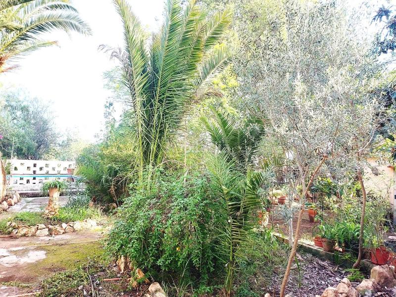 Foto a9b234c1-c1f3-464c-87c7-4c73d54d720a. Xalet amb calefacció aparcament piscina a Urbanizaciones Llíria