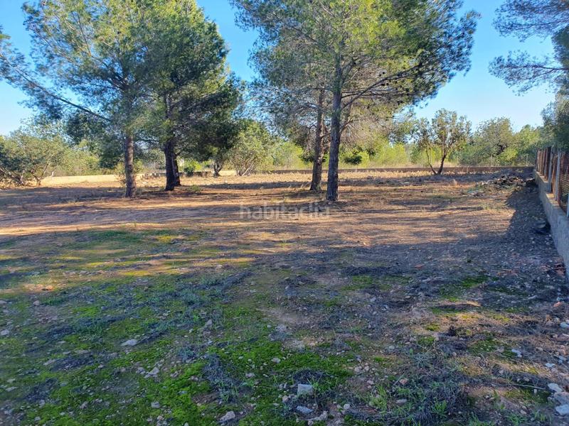 Foto 21a6748d-fc15-458a-9b94-9bf6ed59b5bd. Terreny residencial a Pla dels Aljubs Pobla de Vallbona (la)