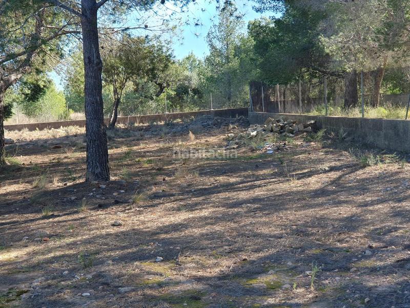 Foto 8f3af3e1-2e1b-470f-9408-dad830168f3d. Terreny residencial a Pla dels Aljubs Pobla de Vallbona (la)