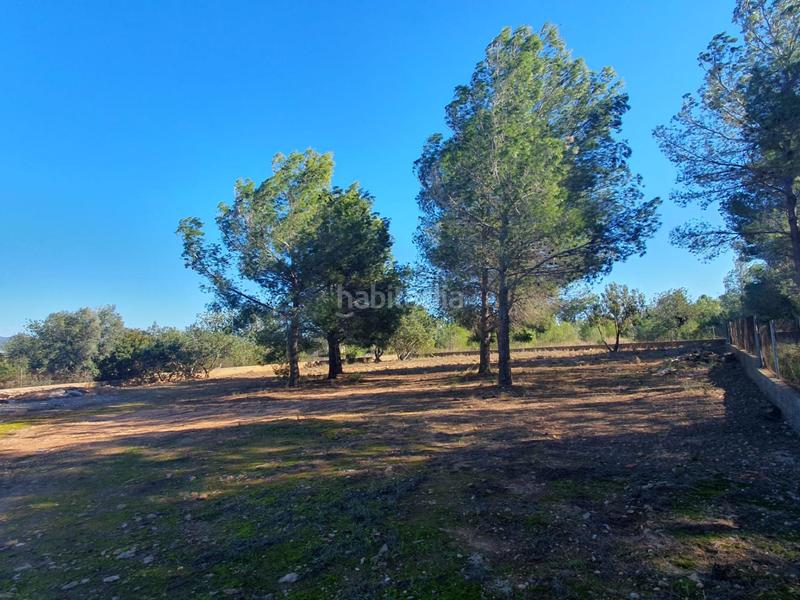 Foto b3f85ffd-4581-4b45-b984-68d4ddd3d3db. Terreny residencial a Pla dels Aljubs Pobla de Vallbona (la)