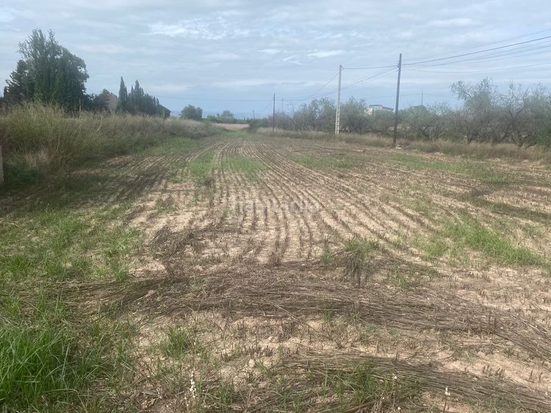 Foto 42ba897b-b3ac-499e-85ab-f94434ea0eb6. Finca rústica a Santa Bárbara Llíria