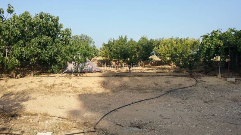 Foto 5c9a3a94-b36b-4e93-8b7a-3ffffaabb002. Finca rústica a Montroi / Montroy
