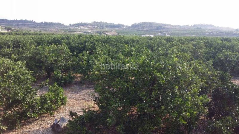 Foto f2f7ccdf-0f3d-4771-aeb7-90a34aab2f18. Finca rústica a Montroi / Montroy
