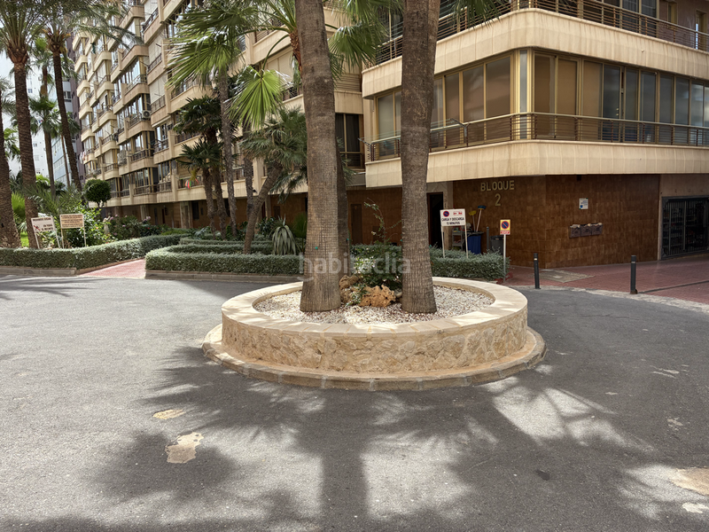 Foto 9644b94d-199f-4c56-9211-868004e63ac4. Miete appartement mit heizung pool in Playa Poniente Benidorm