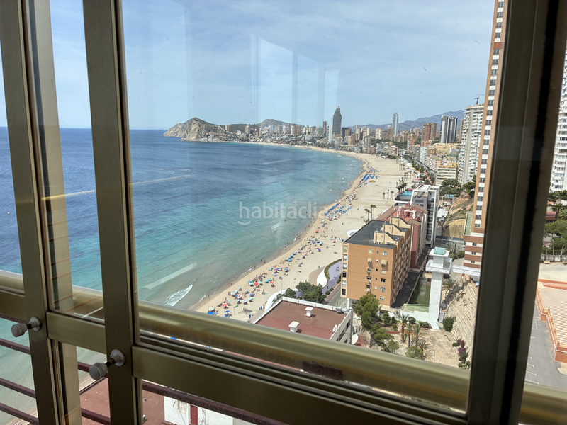Foto 79ee2e12-e9fb-41da-82f4-5f6b4868c621. Rent apartment with heating pool in Playa Poniente Benidorm