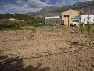 Residential Plot  La pila. Bonita parcela planta de frutales jovenes con agua propia
