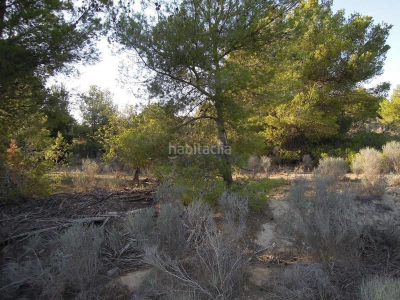 Foto 22f1c8b7-98b5-4a28-8b74-347d5cd1055d. Terreno residencial exclusiva parcela en paraje rodeado de pinos. en Altea