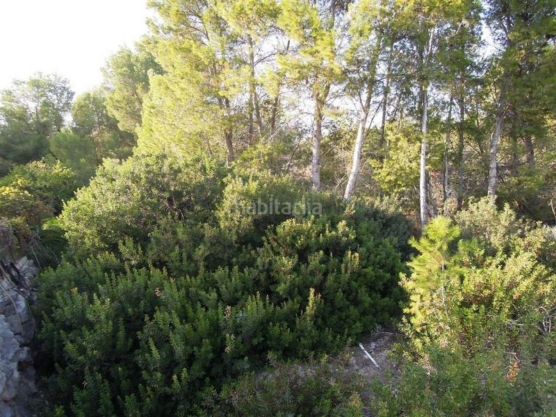 Foto 5afa45e1-1f64-4861-9e20-7b398598c789. Terreno residencial exclusiva parcela en paraje rodeado de pinos. en Altea