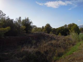 Terrain résidentiel à Altea Ciudad. Exclusiva parcela en paraje rodeado de pinos.