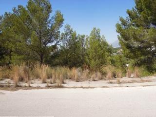 Terreny residencial  El pou. Bonita parcela rodeada de pinos y con vistas a la sierra de alte