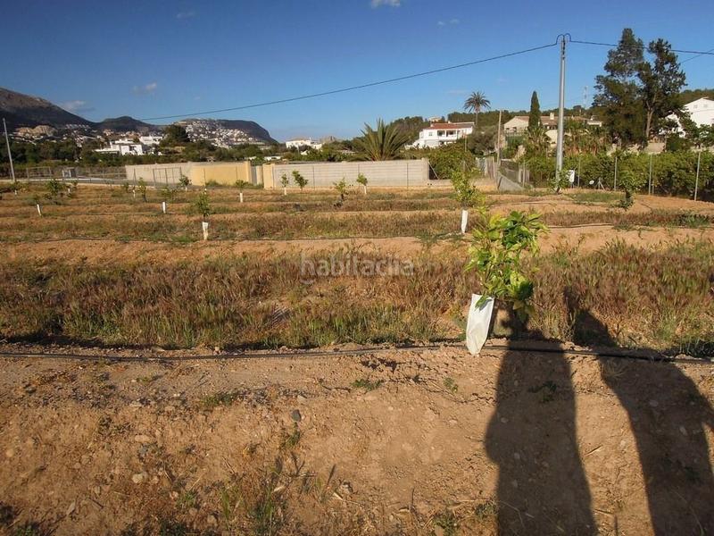 Foto 14c0201c-c41a-40b2-b2d3-66de4cf9368f. Terrain résidentiel dans L´Olla Altea