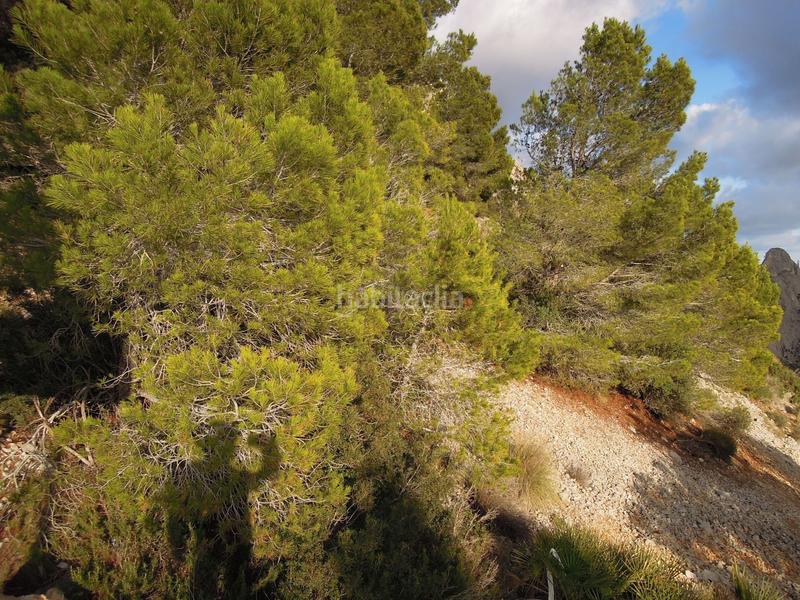 Foto 60bcb5ba-e115-44bf-9491-4bdb5b69314e. Terreno residenziale in Altea hills Altea